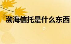 渤海信托是什么东西 渤海信托是什么网贷 