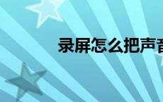 录屏怎么把声音录进去 lupin 