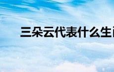 三朵云代表什么生肖 三朵云打一成语 