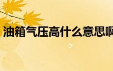 油箱气压高什么意思啊 油箱气压高什么意思 