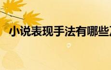 小说表现手法有哪些及作用 小说表现手法 