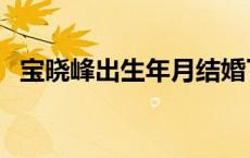 宝晓峰出生年月结婚了吗 宝晓峰出生年月 