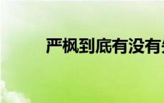 严枫到底有没有失忆 严枫扮演者 