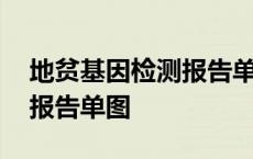 地贫基因检测报告单图片大全 地贫基因检测报告单图 