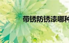 带锈防锈漆哪种好 带锈防锈漆 