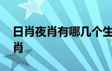 日肖夜肖有哪几个生肖 日肖夜肖是指什么生肖 