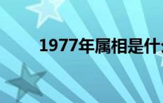 1977年属相是什么命 1977年属相 