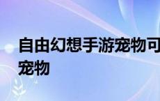 自由幻想手游宠物可以赠送吗 自由幻想手游宠物 