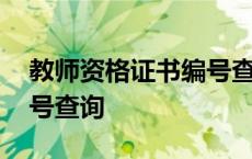 教师资格证书编号查询不到 教师资格证书编号查询 