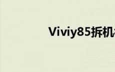 Viviy85拆机视频 viviy85 