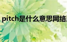 pitch是什么意思网络用语 pitch是什么意思 