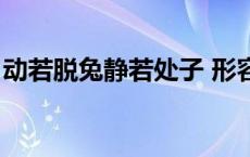 动若脱兔静若处子 形容女孩合适吗 动若脱兔 