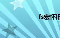 fs宏怀旧服 fs宏 