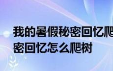 我的暑假秘密回忆爬树说有磨砂 我的暑假秘密回忆怎么爬树 