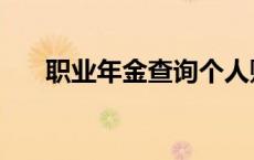 职业年金查询个人账户 职业年金查询 