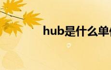 hub是什么单位 hub是什么 