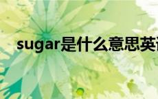 sugar是什么意思英语 sugar是什么意思 