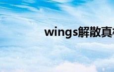 wings解散真相 wings解散 