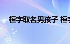 桓字取名男孩子 桓字取名男孩寓意好吗 