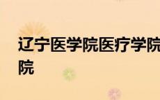 辽宁医学院医疗学院代码 辽宁医学院医疗学院 