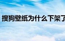 搜狗壁纸为什么下架了 搜狗壁纸为什么停运 