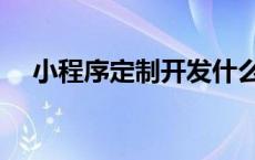 小程序定制开发什么意思 小程序定制版 