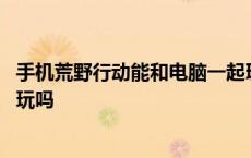 手机荒野行动能和电脑一起玩吗 荒野行动模拟器可以和手机玩吗 