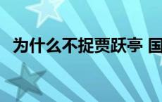 为什么不捉贾跃亭 国家为什么不抓贾跃亭 