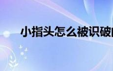 小指头怎么被识破的 小指头怎么死的 