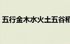 五行金木水火土五谷稻麦黍菽稷意思 五行金 