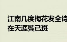 江南几度梅花发全诗注音 江南几度梅花发人在天涯鬓已斑 