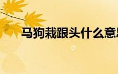 马狗栽跟头什么意思 栽跟头什么意思 