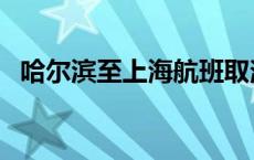 哈尔滨至上海航班取消 哈尔滨至上海航班 