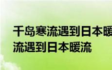 千岛寒流遇到日本暖流会温暖海域吗 千岛寒流遇到日本暖流 