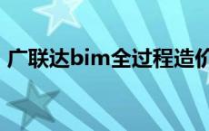 广联达bim全过程造价管理系统 广联达bim 