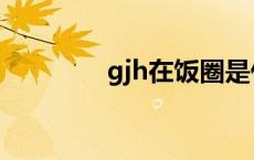 gjh在饭圈是什么意思 gjh 