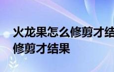 火龙果怎么修剪才结果修剪视频 火龙果怎么修剪才结果 