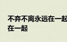 不弃不离永远在一起是什么歌 不弃不离永远在一起 