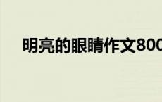 明亮的眼睛作文800字 明亮的眼睛作文 