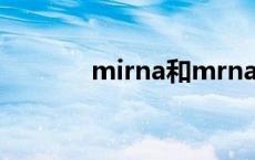 mirna和mrna的区别 mirna 