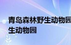 青岛森林野生动物园有大熊猫吗 青岛森林野生动物园 