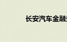 长安汽车金融查询 金融查询 