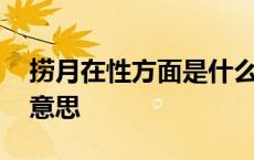 捞月在性方面是什么意思 st在性方面是什么意思 