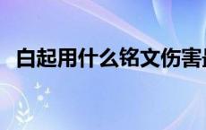 白起用什么铭文伤害最高 白起用什么铭文 