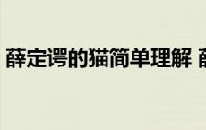 薛定谔的猫简单理解 薛定谔的猫心理学解释 