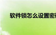 软件锁怎么设置密码 软件锁怎么设置 