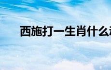 西施打一生肖什么动物 西施打一生肖 