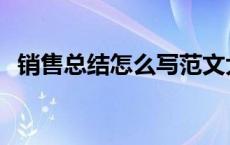 销售总结怎么写范文大全 销售总结怎么写 