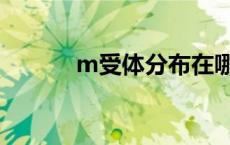 m受体分布在哪个部位 m受体 