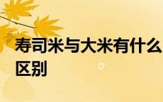 寿司米与大米有什么区别? 寿司米和普通米的区别 